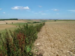 Round barrows above bronze age settlement Wallpaper