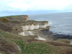 View from Flamborough Head, looking back towards Bempton Cliffs Wallpaper