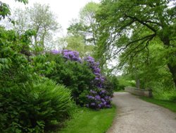 Attingham Park