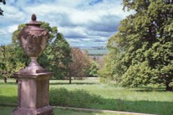 Garden view across field at Hinton Ampner Gardens, Hampshire Wallpaper