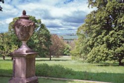 Garden view across field at Hinton Ampner Gardens, Hampshire