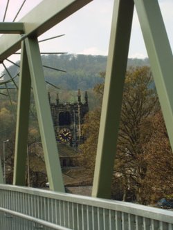 A picture of Bingley