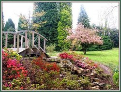 A picture of Furzey Gardens Wallpaper