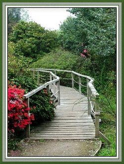 Small bridge  at Furzy Gardens.  Minstead.  New Forest