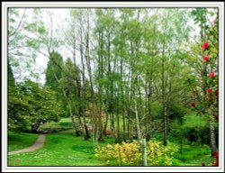 A picture of Furzey Gardens Wallpaper