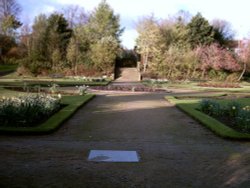 Prestwich Flower Gardens Wallpaper