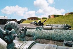 Burmese + Indian guns Wallpaper