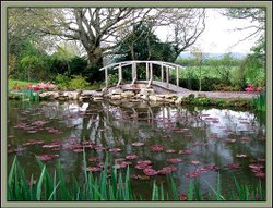 The Bridge from other side Wallpaper