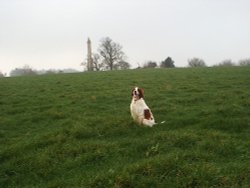 A picture of Chippenham Wallpaper