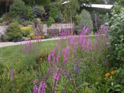 Beer Gardens, Beer, Devon Wallpaper