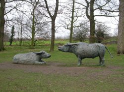 Water Buffalo by Elizabeth Frink, Yorkshire Sculpture Park. Wallpaper