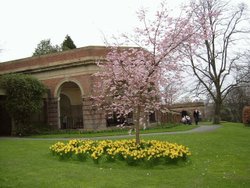 Harrogate Valley Gardens 2005 Wallpaper