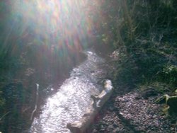 Barton Springs, Barton Le Clay, Bedfordshire