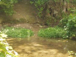 Ashwell Springs, Ashwell. The source of the River Cam
