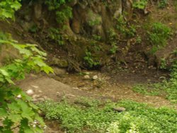 Ashwell Springs, Ashwell, Hertfordshire. A source of the River Cam