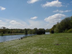 Clumber Country Park, Worksop Wallpaper