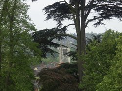 St Andrews from Farnham Park, Farnham, Surrey