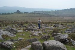 Dartmoor Park, Devon