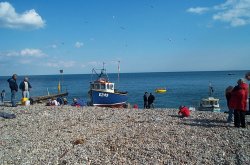 Beer Beach