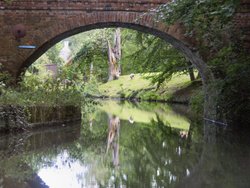 Basingstoke Canal, Surrey