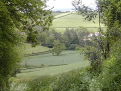 Country lanes near Dawlish, Devon Wallpaper