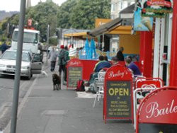 Dawlish, Devon. The chocolate Labrador that sits outside Bailey's every morning