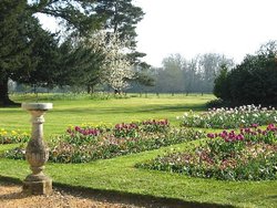 Charles Darwin's Estate Wallpaper