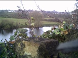 The River Dee from Dee Banks in Boughton, Chester Wallpaper