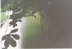 Guildford Park in Guildford - Surrey Wallpaper