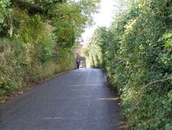 A picture of Sowerby Wallpaper