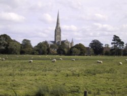 Salisbury Cathedral Wallpaper