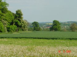 Near Norton, Northamptonshire