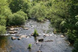 Riverside walks from Dartmeet, Devon