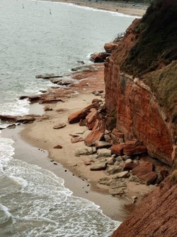 Devon Cliffs
