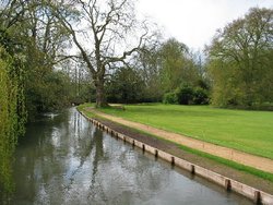 Mottisfont Abbey Creek