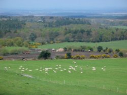 Isle of Purbeck, Dorset