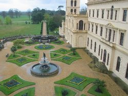 Rear Gardens Wallpaper