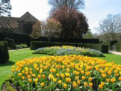 Flowers at The Vyne