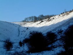 Winter in Devils Dyke Nr Poynings, West Sussex Wallpaper