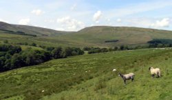Head of Hodder Valley, Lancashire