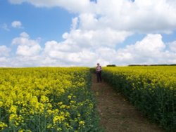 Nr Binbrook, Lincolnshire