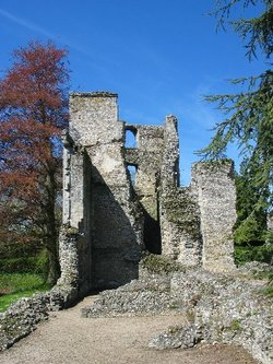 Bishop's Waltham Palace Ruins