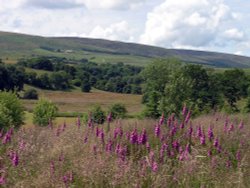 Near Slaidburn, Hodder Valley, Lancashire Wallpaper