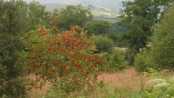 Gisburn Forest, Hodder Valley, Lancashire
