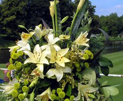 Stonyhurst Flower Show (2004), near Hurst Green, Lancashire Wallpaper