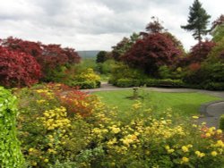 Eaves Hall Gardens, near West Bradford, Lancashire Wallpaper