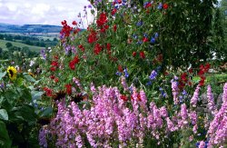 Chatsworth kitchen garden Wallpaper
