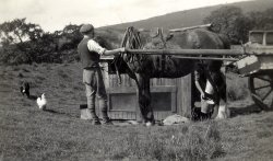 Farming at Harrop Fold(about 1920), Lancashire Wallpaper