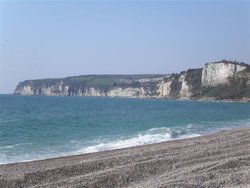 Seaton, Devon Wallpaper