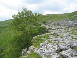 Malham Cove, North Yorkshire Wallpaper